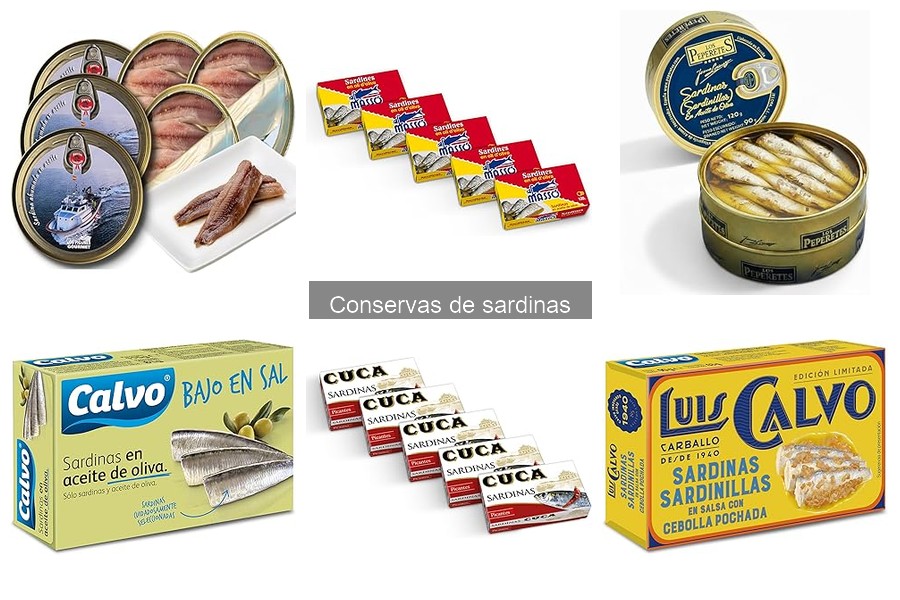 ¿Qué son las conservas de sardinas y sus beneficios?