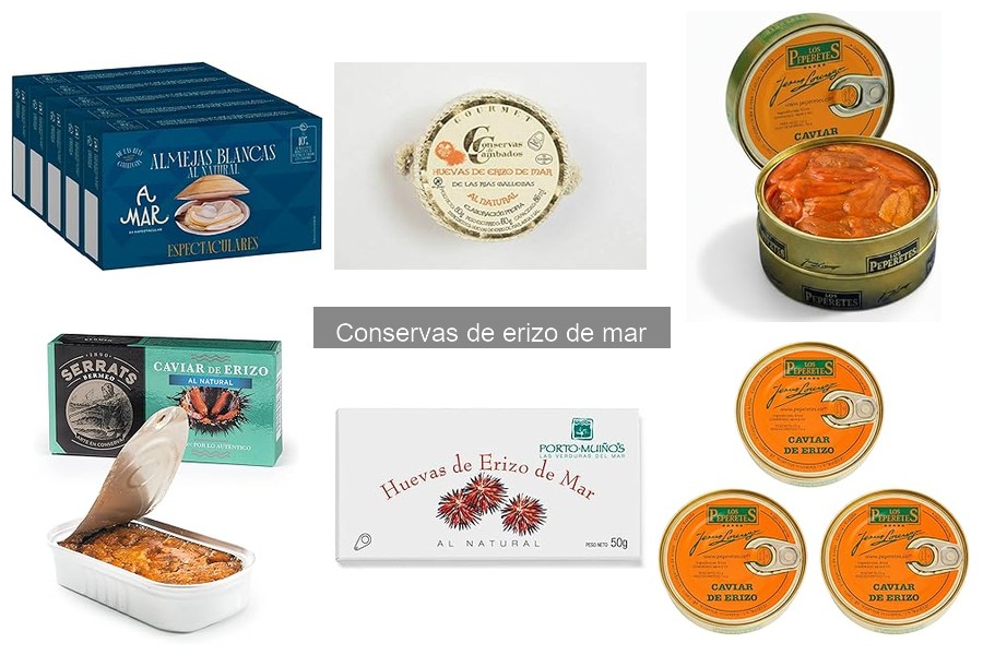 Recetas deliciosas con conservas de erizo de mar