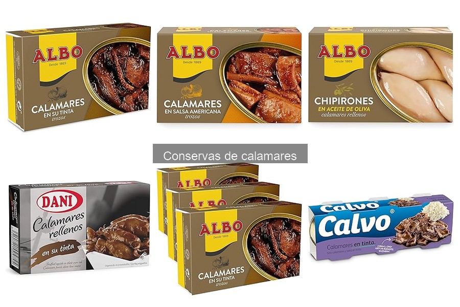 Recetas fáciles con conservas de calamares para disfrutar