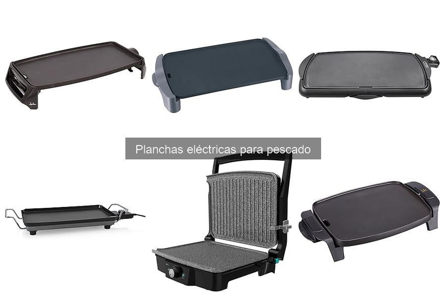 Recetas fáciles de pescado en planchas eléctricas
