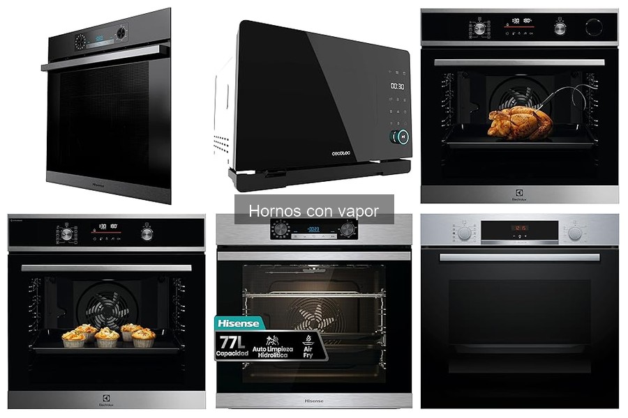 Recetas fáciles para horno con vapor: ¡Cocina deliciosa!