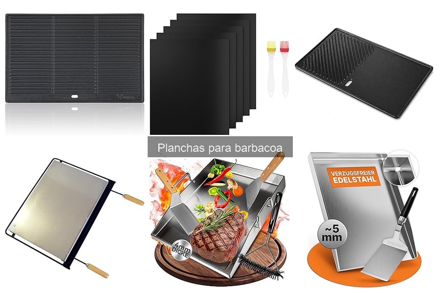 Recetas Fáciles para Plancha de Barbacoa | Disfruta en Casa