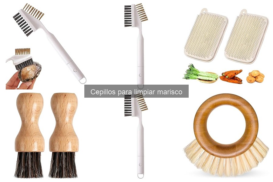 Soluciona Problemas Comunes con Cepillos para Marisco