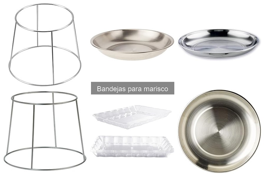 Tipos de bandejas para marisco: material y diseño