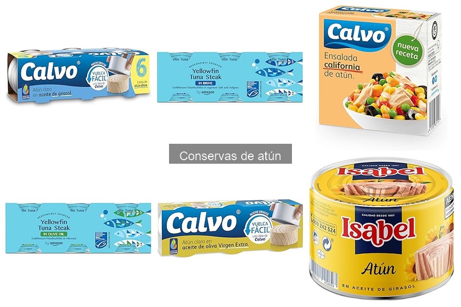 Tipos de conservas de atún: Aceite, natural y más