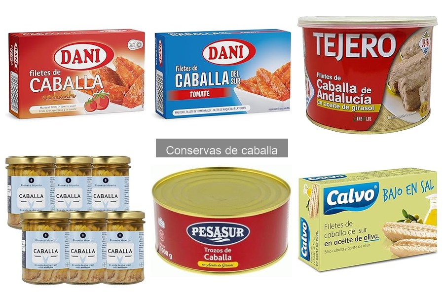 Tipos de conservas de caballa: características y usos