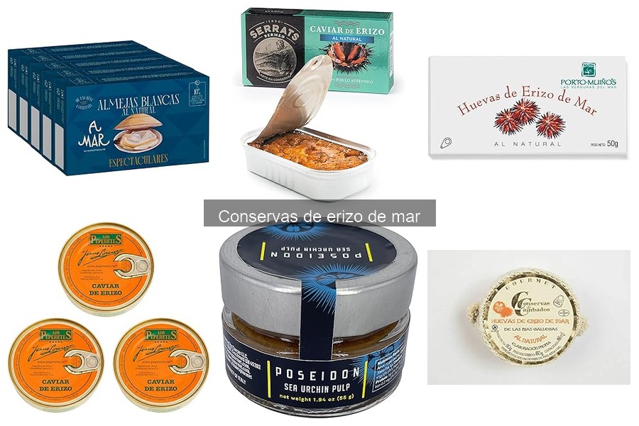 Tipos de conservas de erizo de mar: opciones y variedades
