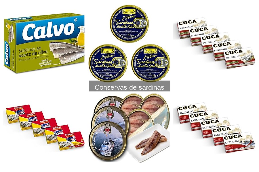 Tipos de conservas de sardinas: Variedades y características