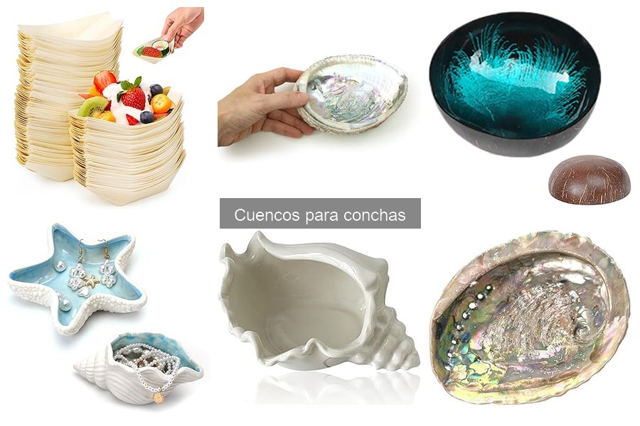 Tipos de cuencos para conchas: materiales y diseños