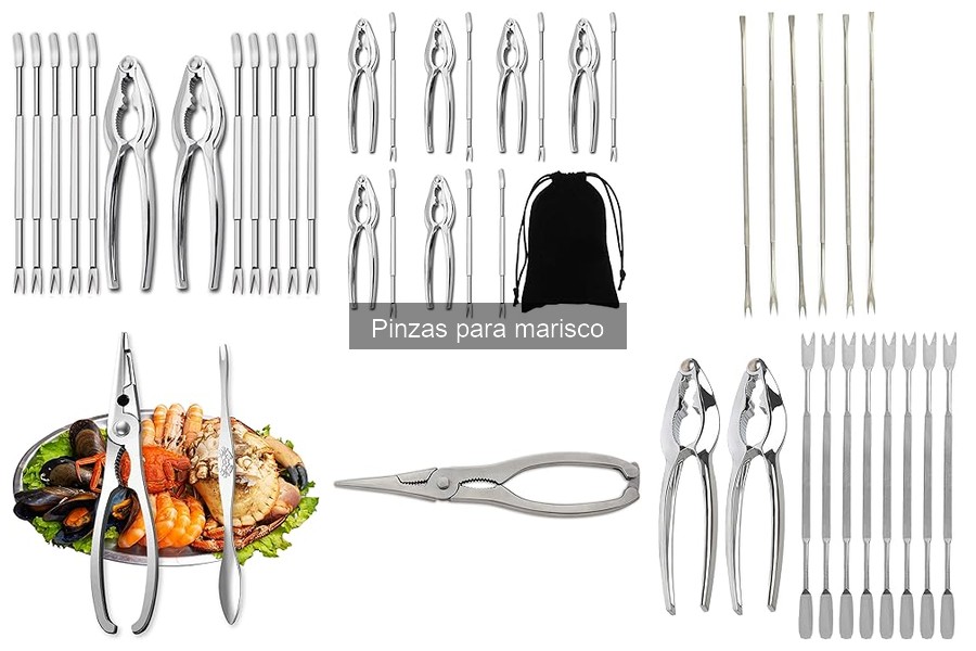 Tipos de pinzas para marisco: guía completa de utensilios