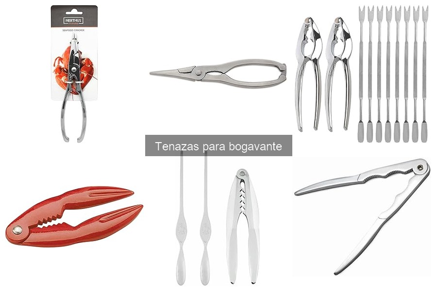 Tipos de tenazas para bogavante: materiales y diseños