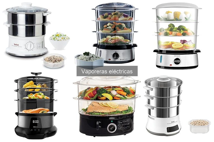 Tipos de Vaporeras Eléctricas: Guía y Comparativa