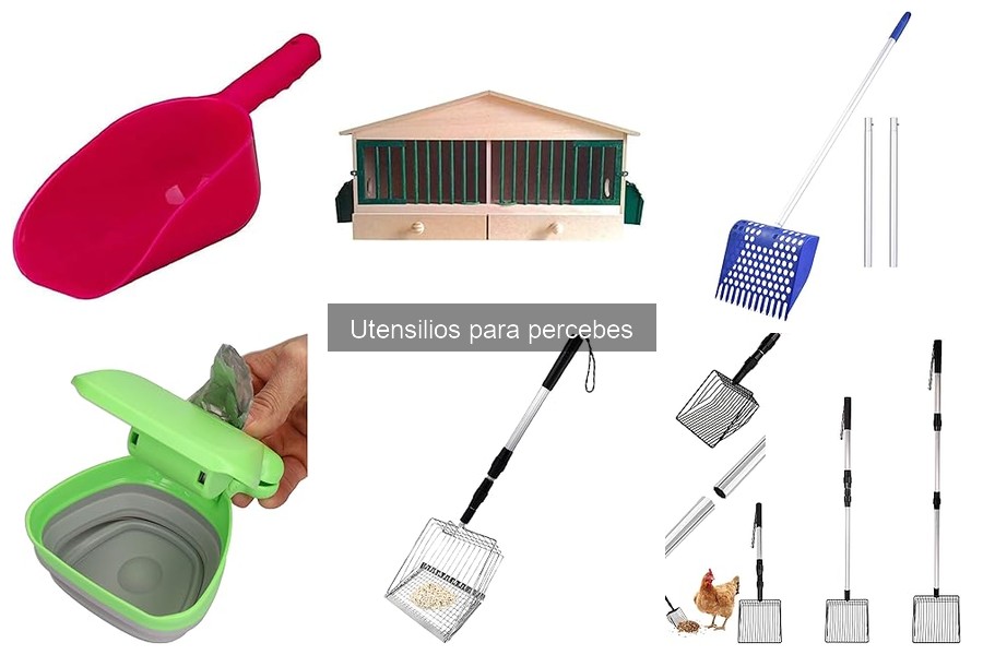 Utensilios Esenciales para Disfrutar de Percebes en Casa